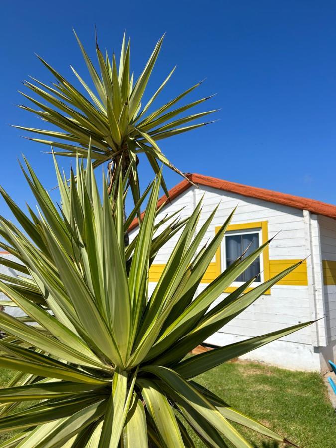 La Pinza Bl Am El Palmar (Andalucia) Exterior foto
